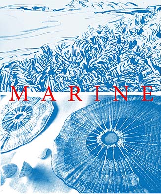 marine poster home